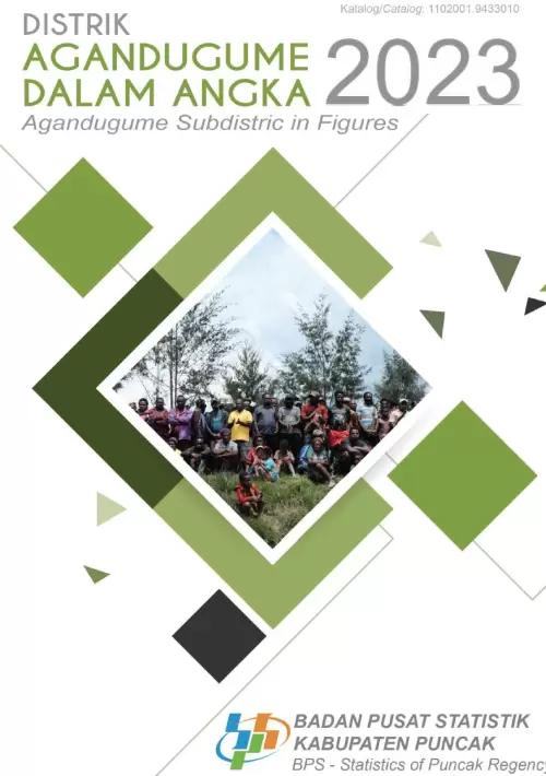 Agandugume Subdistrict in Figures 2023