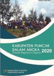 Puncak Regency In Figures 2020