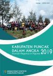 Kabupaten Puncak Dalam Angka 2019